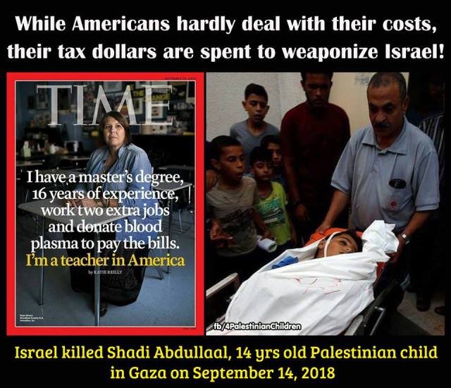 41721349_1430708257072871_2070357640365473792_n